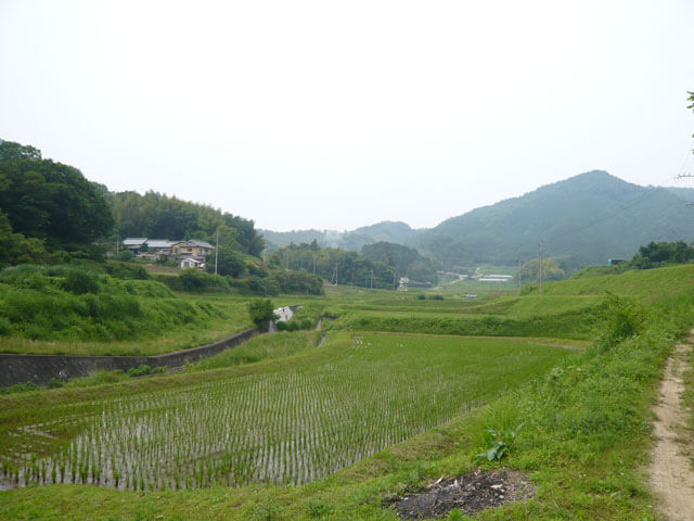 讃岐平野